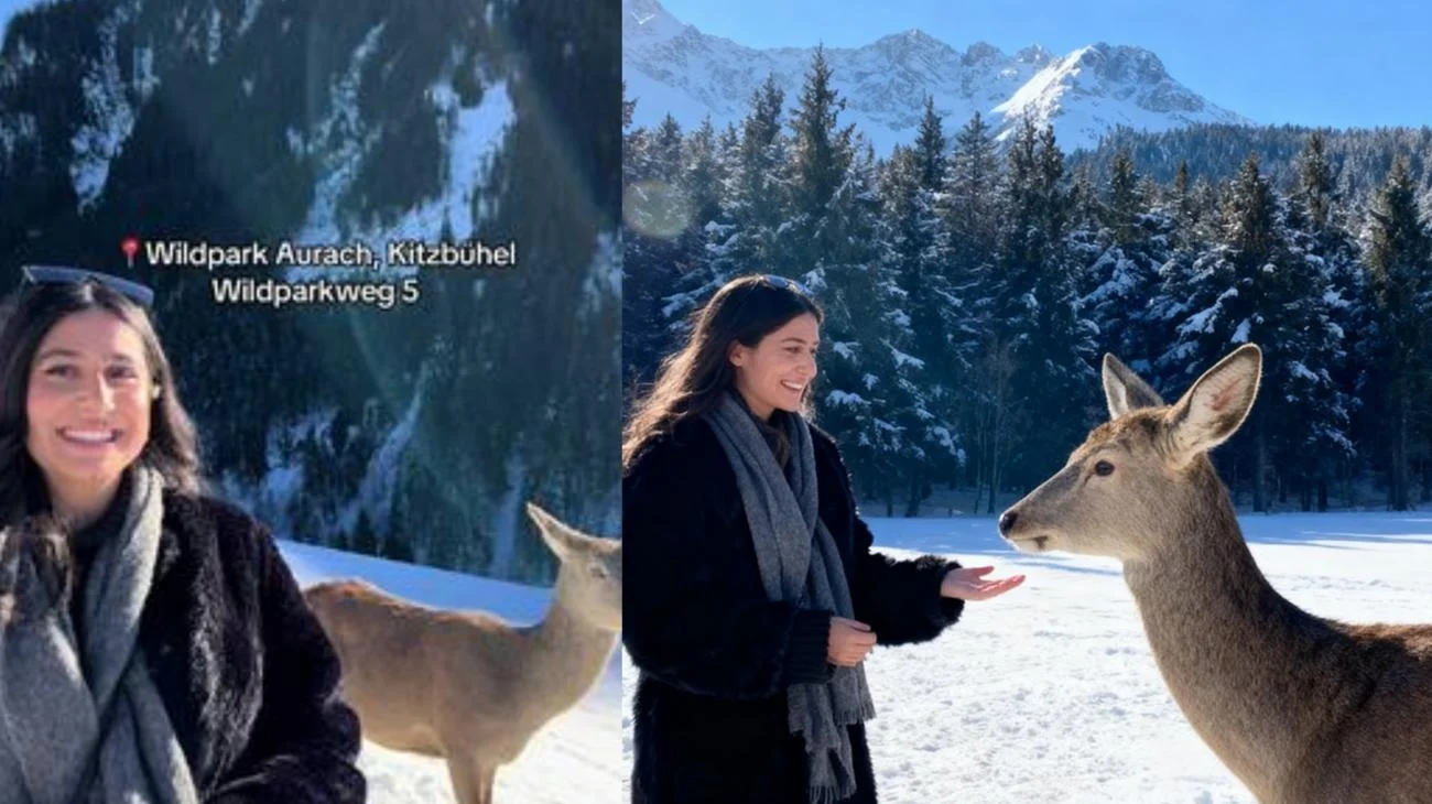 Abspeichern! Perfekt für die nächsten Wochen❄️"